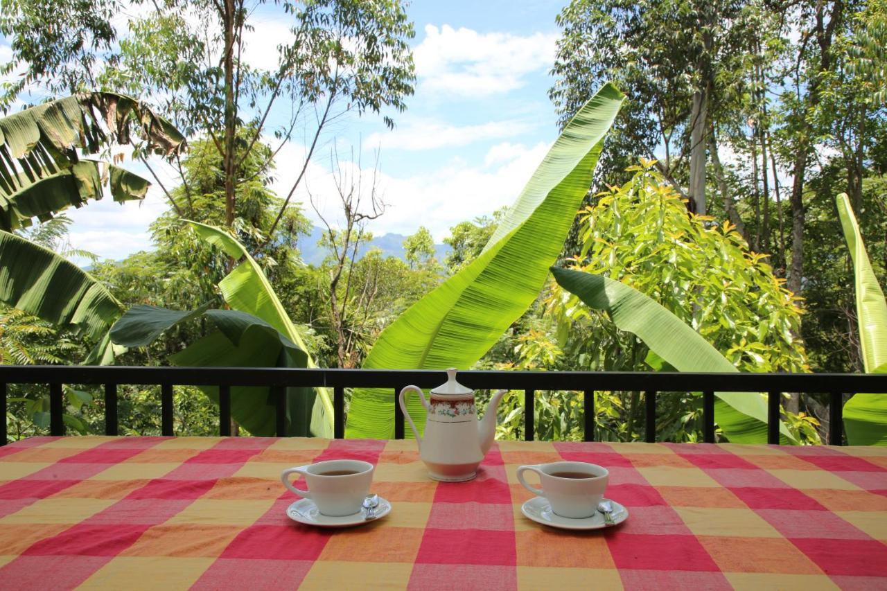 The Bliss Homestay Ella Bagian luar foto