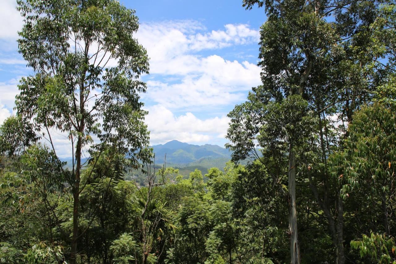 The Bliss Homestay Ella Bagian luar foto