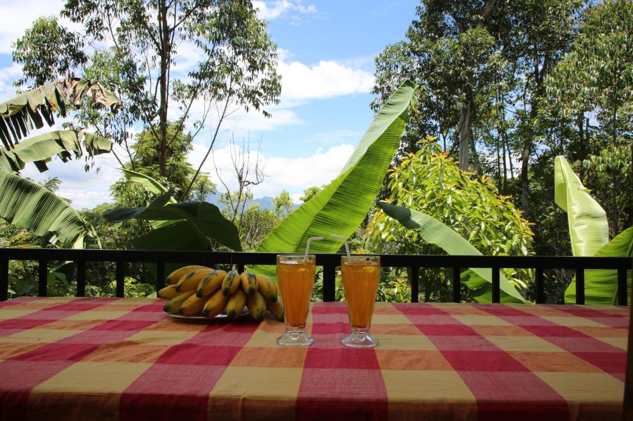 The Bliss Homestay Ella Bagian luar foto