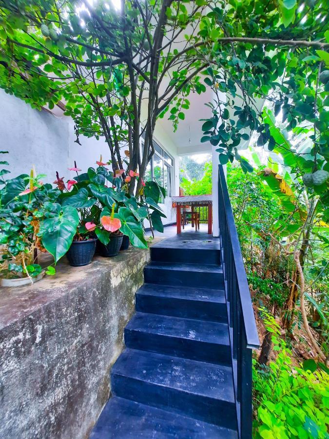The Bliss Homestay Ella Bagian luar foto