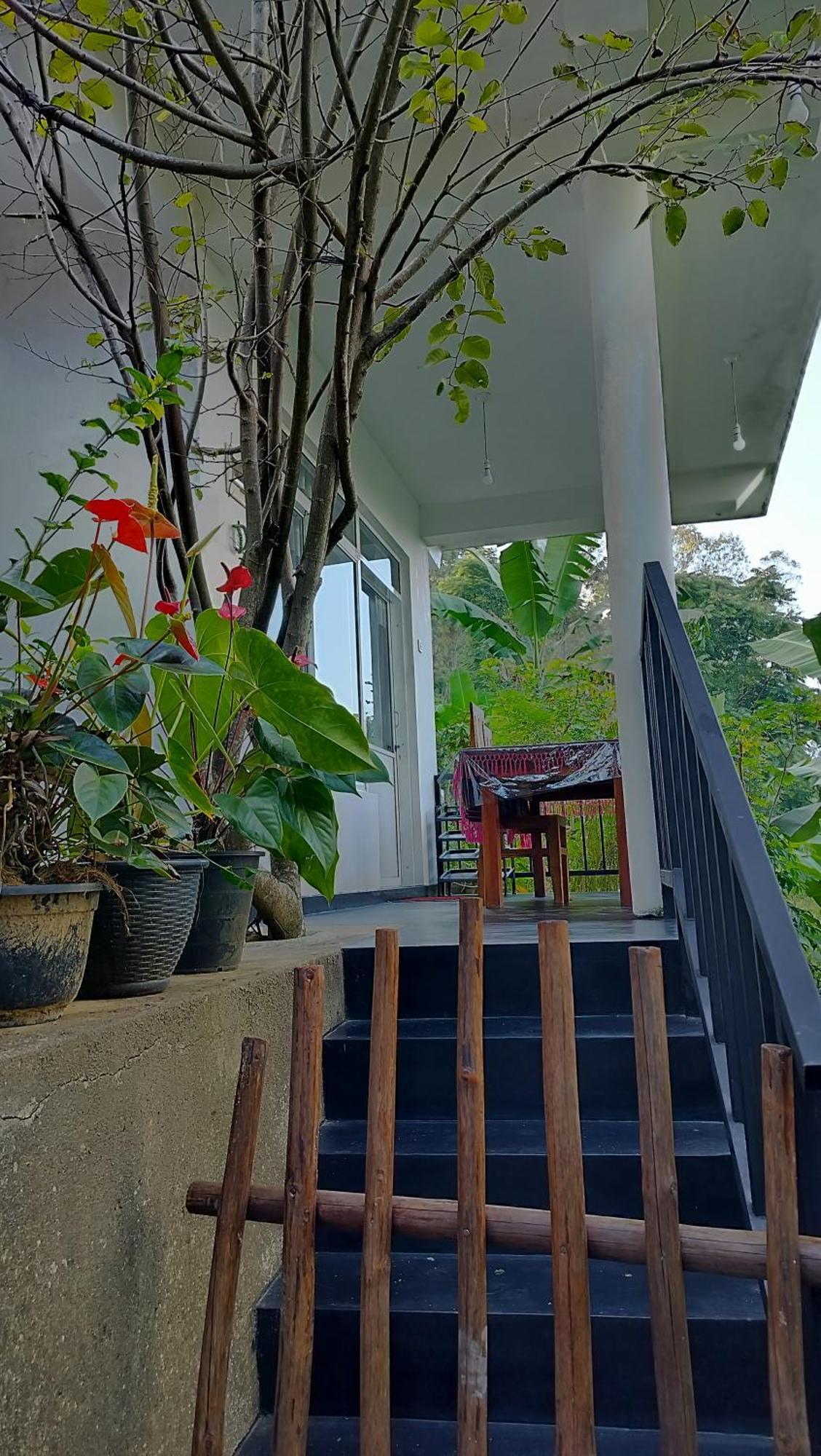 The Bliss Homestay Ella Bagian luar foto